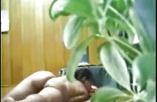 XXX भव्य मूखमैथून