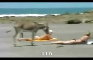 XXX Scribbling मूखमैथून