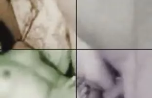 XXX क्राइमीन सौंदर्य वागणे कॅमेरा आणि मांजर शो