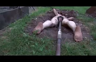 XXX स्त्री पुरुष समागम तरुण मैत्रीण स्टॉकिंग्ज मध्ये