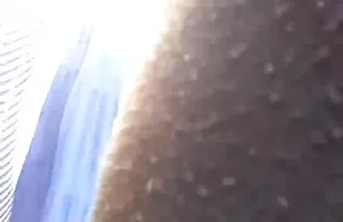 XXX Fucked माध्यमातून भोक मध्ये पॅंटी होज